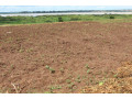 plot-for-sale-in-bugesera-near-airport-hot-deal-small-0