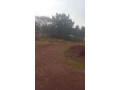 kigali-land-for-sale-in-rebero-small-4