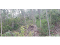 land-for-sale-in-gahanga-kigali-rwanda-in-ecotourism-and-hotel-small-3