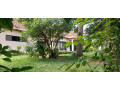 kigali-pool-house-available-for-rent-kacyiru-near-american-ambassador-residence-small-0