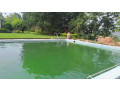 kigali-pool-house-available-for-rent-in-kiyovu-small-6