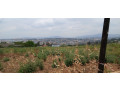 plot-for-sale-at-kinyinya-small-4