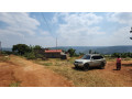 land-for-sale-in-runda-ruyenzi-small-3