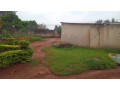 kigali-land-for-sale-in-rebero-small-2
