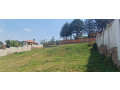 nyarutarama-plot-for-sale-500m-small-6