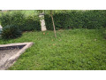 bb017-gacuriro-umucyo-estate-cheapest-furnished-house-for-rent-small-2