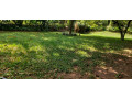 kigali-unfurnished-family-villa-available-for-rent-in-nyarutarama-small-5