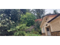 semi-furnished-house-available-for-rent-at-kiyovu-small-4
