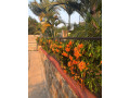 spacious-family-villa-available-for-rent-at-kacyiru-small-2