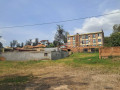 nyarutarama-small-3