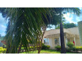 kigali-land-for-sale-in-rebero-near-heavens-garden-small-5