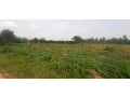plot-for-sale-in-bugesera-near-airport-hot-deal-small-1