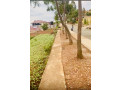 kigali-rwanda-plot-for-sale-in-rebero-small-1
