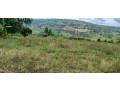 property-for-sale-in-rusororo-small-3