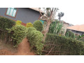 largest-land-for-sale-with-a-house-small-2