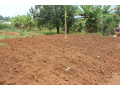 residential-plot-for-sale-in-bugesera-near-airport-hot-deal-small-1