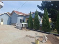 niboyi-small-2