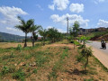 muyange-small-1