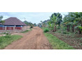 plot-for-sale-in-busanz-at-agood-place-small-2