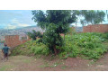 kigali-land-for-sale-in-kiyovu-rugunga-small-3
