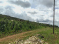 nice-plot-for-sale-in-nyamirambo-604sqm-small-1