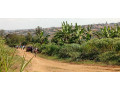 ikibanza-kigurishwa-rusororo-small-3