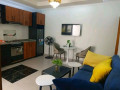 gishushu-fully-furnished-2bedrooms-apartment-for-rent-at-800-in-good-location-small-4