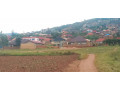 masizi-bumbogo-plot-for-sale-small-0