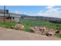 kabeza-plot-for-sale-small-1