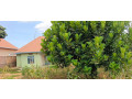 ikibanza-tugurisha-120m-gasogi-cyaruzinge-small-5