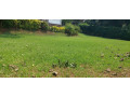 kigali-unfurnished-house-available-for-rent-in-kiyovu-small-4