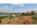 kigali-land-for-sale-in-kanombe-small-4