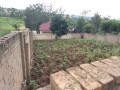 plot-for-sale-in-kagugu-near-bus-stop-not-far-from-simba-centre-gacuriro-small-6