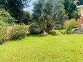 ep-087-kimihurura-kimihurura-very-nice-and-cheapest-unfurnished-house-for-rent-small-9