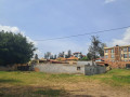 nyarutarama-small-0
