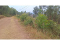 kigali-land-for-sale-in-rebero-small-5