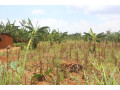 land-on-lake-for-sale-in-bugesera-near-airport-of-rwanda-small-0