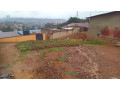 kigali-land-for-sale-in-nyamirambo-small-4