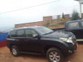 toyota-txl-small-1