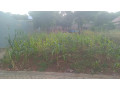 kigali-land-for-sale-in-nyamirambo-small-0