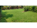 unfurnished-house-available-for-rent-at-kiyovu-small-3