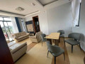 kibagabaga-modern-new-apartment-for-rent-small-3