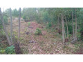 kigali-land-for-sale-in-rebero-rujugiro-small-0