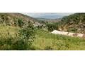bumbogo-small-0