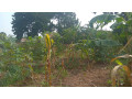 kigali-plot-for-sale-in-kinyinya-small-0