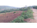 mukuyu-ndera-plot-for-sale-small-5