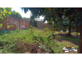 kigali-house-for-sale-in-remera-small-1