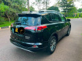 toyota-rav4-small-2