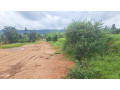 ikibanza-kigurishwa-kinyinya-small-1