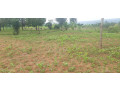 residential-land-for-sale-in-bugesera-near-airport-of-rwanda-small-0